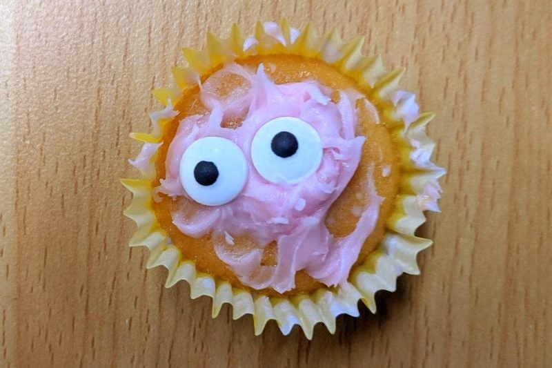 Primary Lunch Time Club: Cupcake Decorating